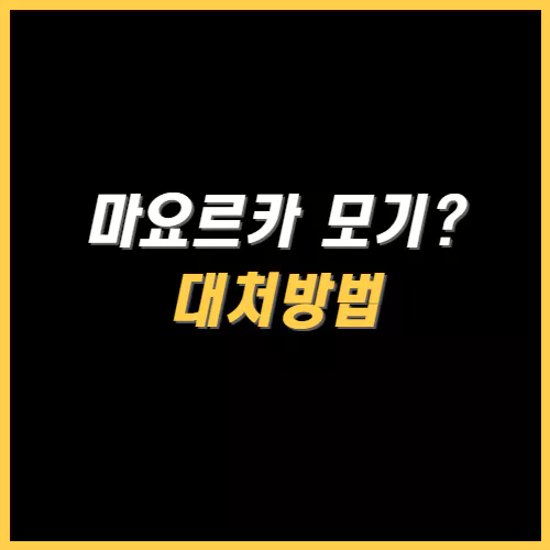 마요르카 모기 대처방법 썸네일